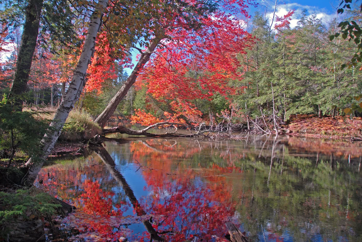 The clear, shallow Crystal River winding through autumn woods near Glen Arbor, Michigan