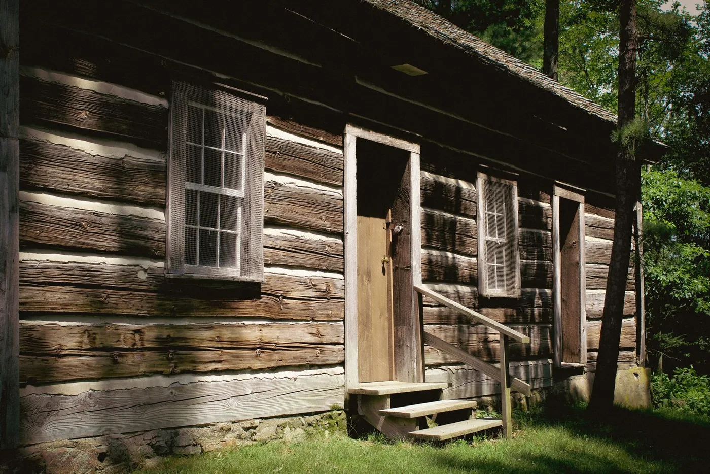 Rustic log cabin tucked among tall pines in a quiet northern forest